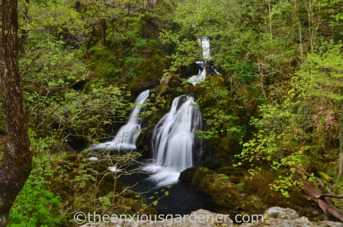 Colwith Force