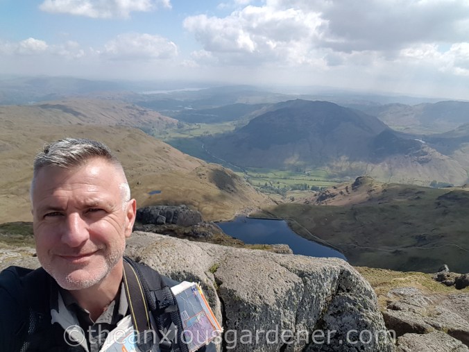 The Anxious Gardener