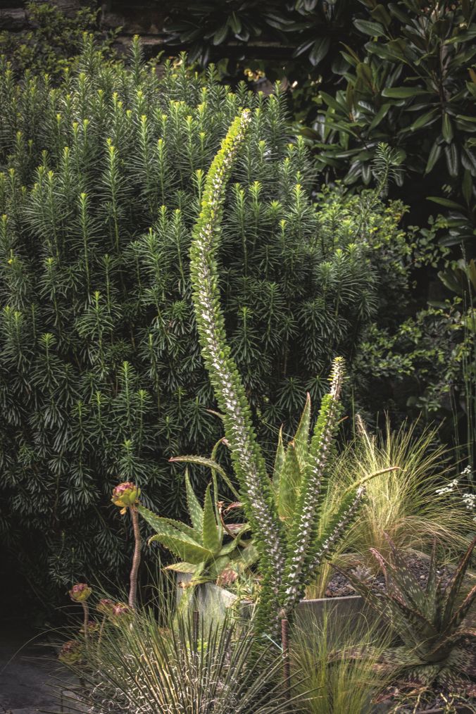 Chanticleer, Wayne, Pennsylvania